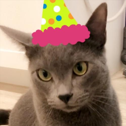 29